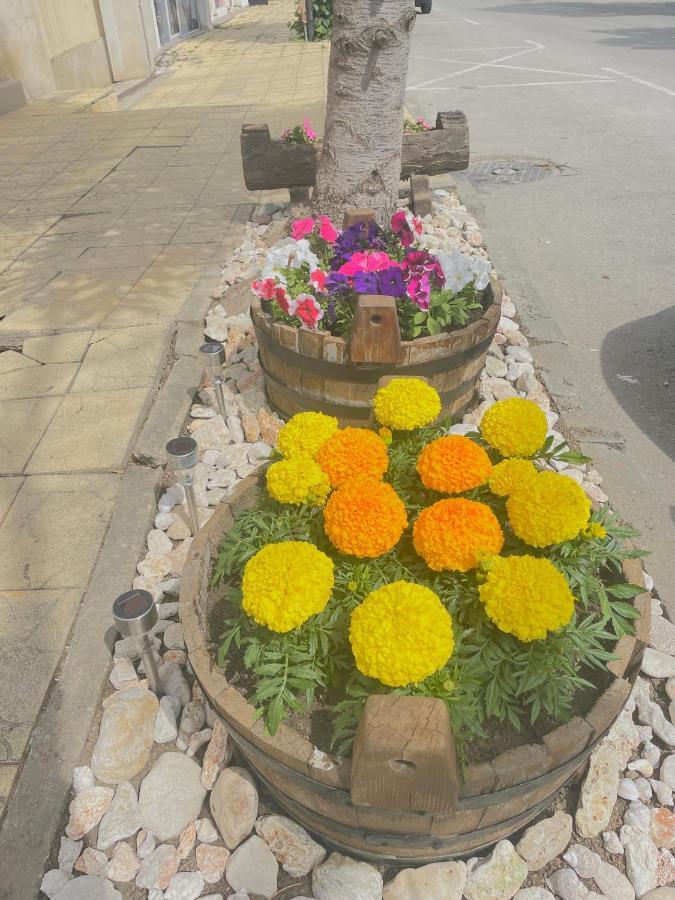 Family Hotel Morska Zvezda Balchik Bagian luar foto
